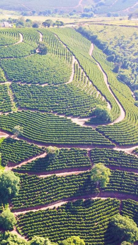 Fazenda, Centro, 0 Quarto, 0 Vaga