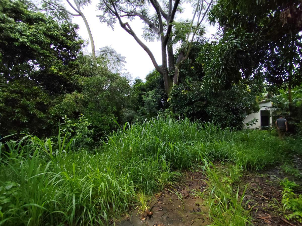 Lote, Trevo, 0 Quarto, 0 Vaga