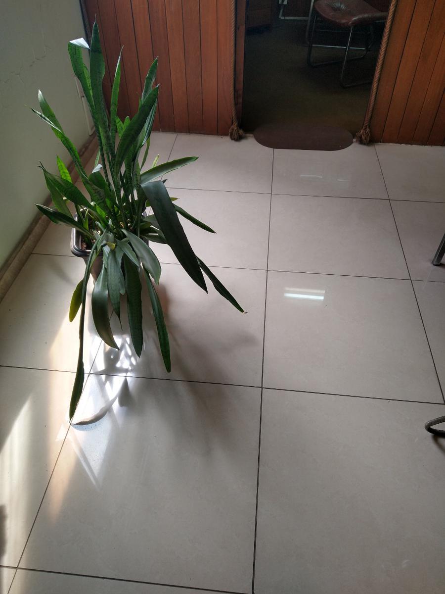 Sala, Centro, 1 Quarto, 0 Vaga