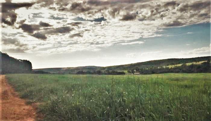 Fazenda, Centro, 0 Quarto, 0 Vaga, 1 Suíte