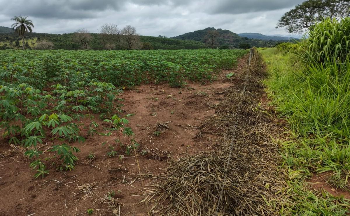 Fazenda, Zona Rural, 5 Quartos, 0 Vaga