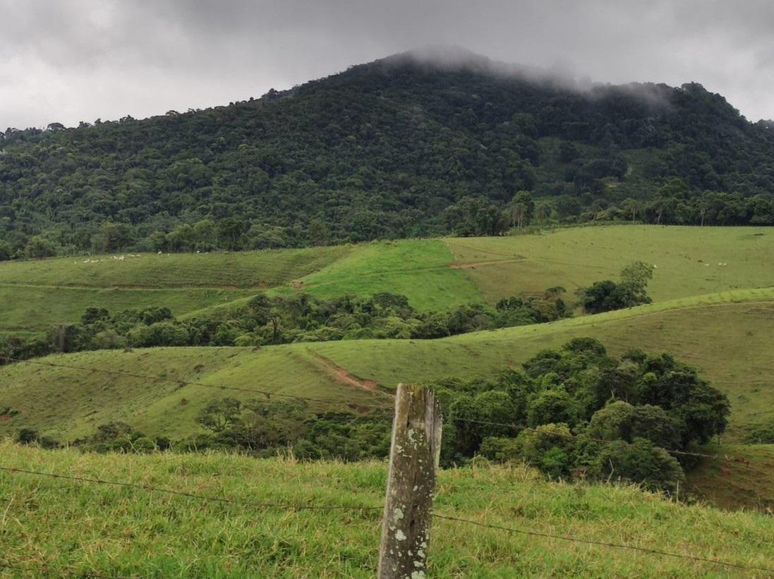 Fazenda, Zona Rural, 3 Quartos, 0 Vaga