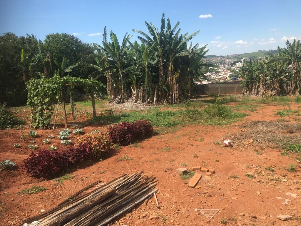 Lote, Centro, 0 Quarto, 0 Vaga