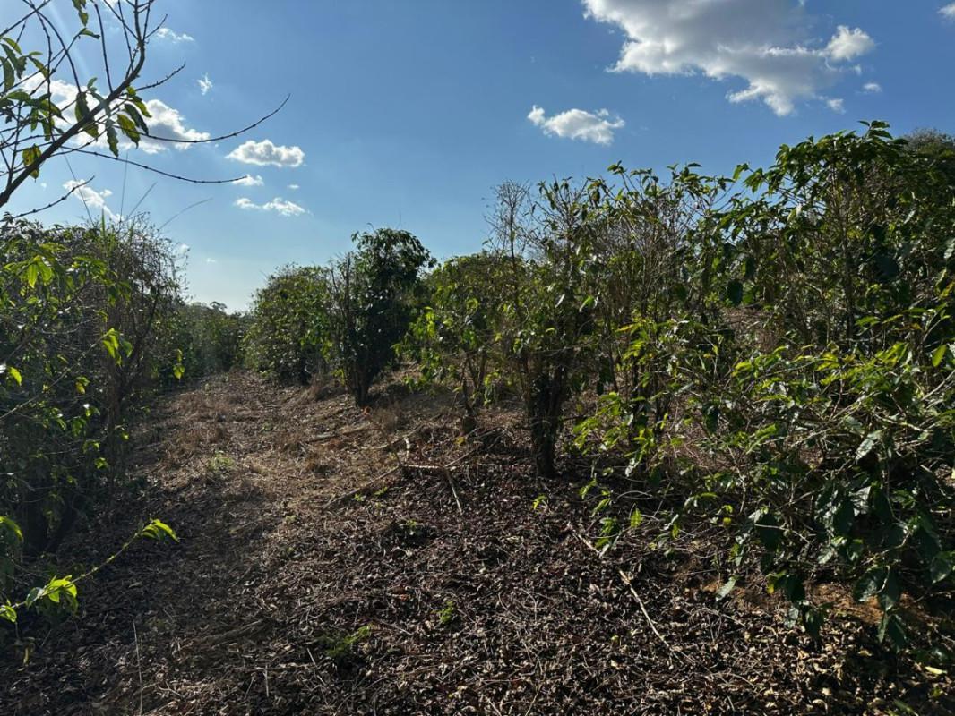 Fazenda, Centro, 0 Quarto, 0 Vaga