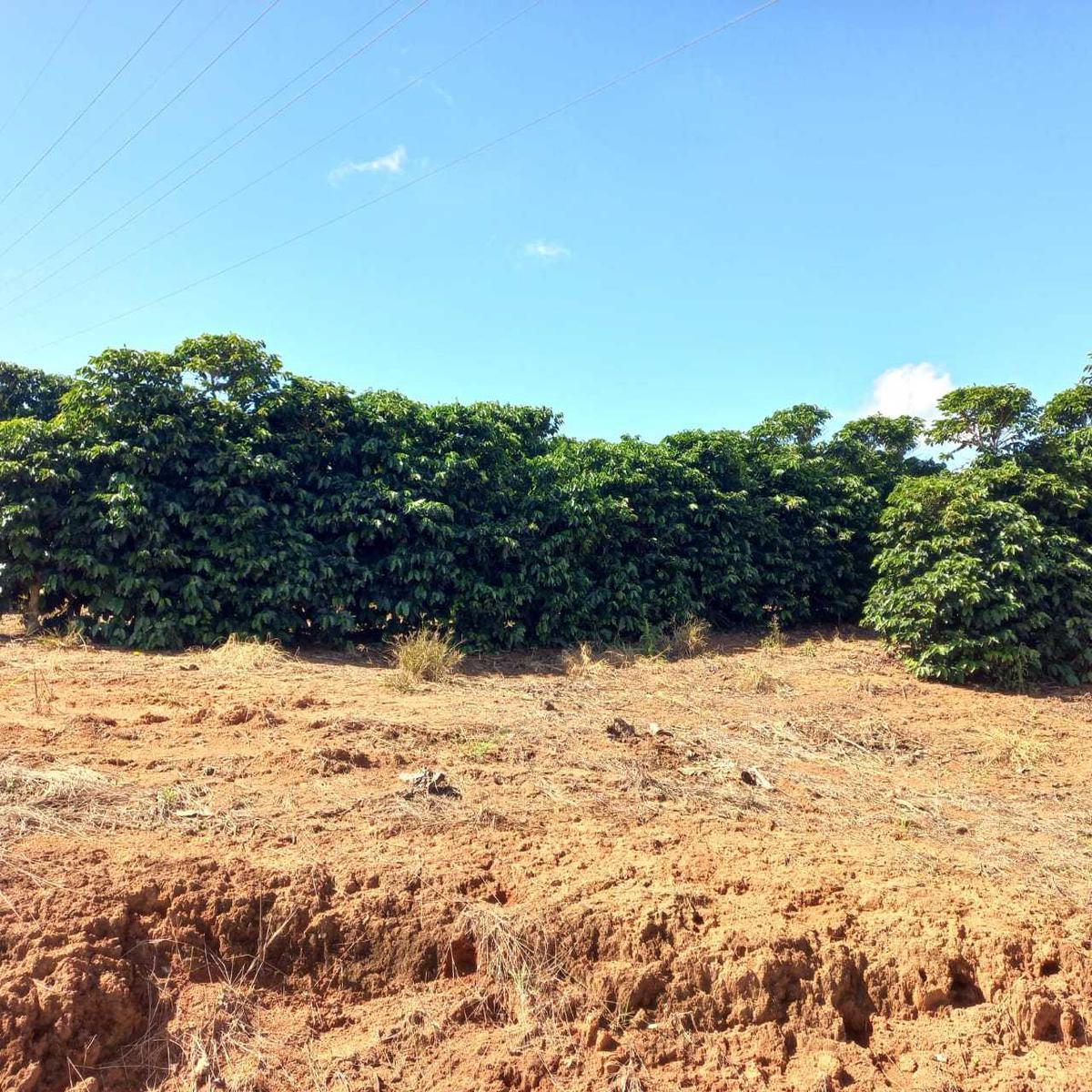 Fazenda, Zona Rural, 0 Quarto, 0 Vaga