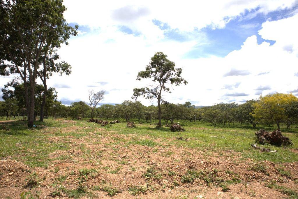 Lote, Zona Rural, 0 Quarto, 0 Vaga
