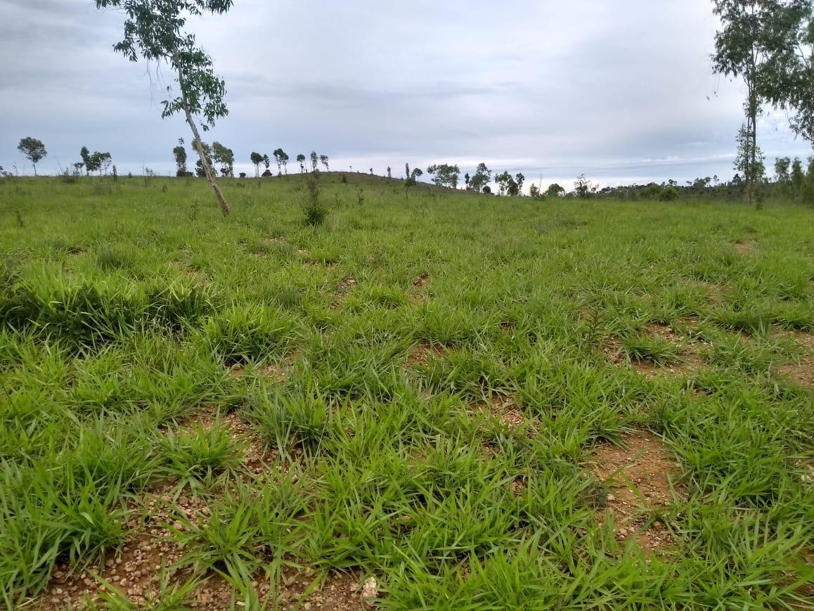 Fazenda, Zona Rural, 3 Quartos, 0 Vaga