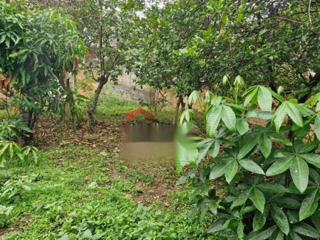 Lote, Bonsucesso, 0 Quarto, 0 Vaga