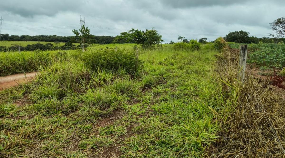 Fazenda, Zona Rural, 5 Quartos, 0 Vaga