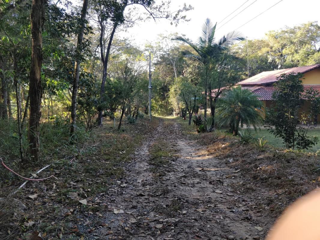 Lote, São José, 4 Quartos, 0 Vaga