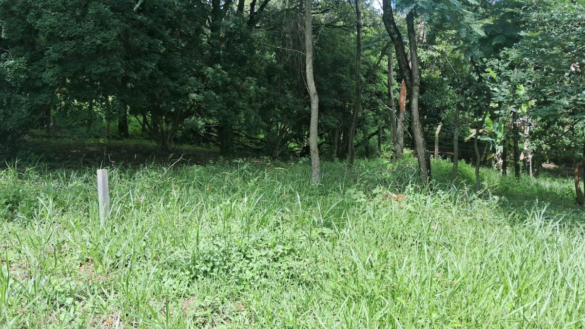 Lote, Parque Jardim Encantado, 0 Quarto, 0 Vaga