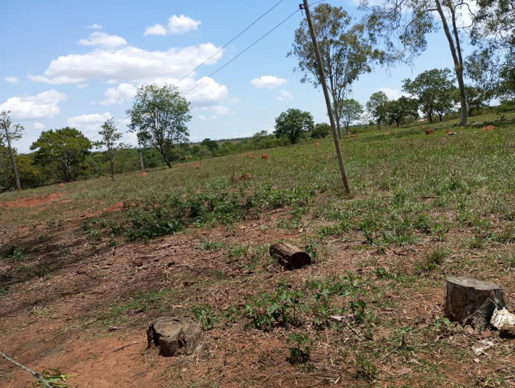 Fazenda, Centro, 0 Quarto, 0 Vaga