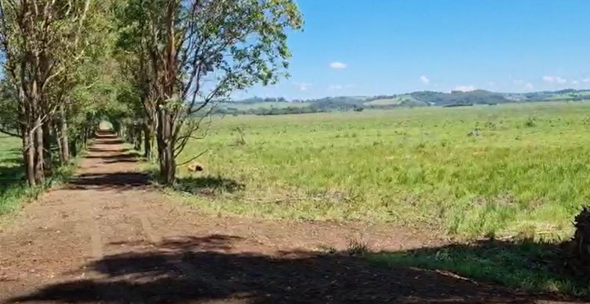 Fazenda, Centro, 0 Quarto, 0 Vaga
