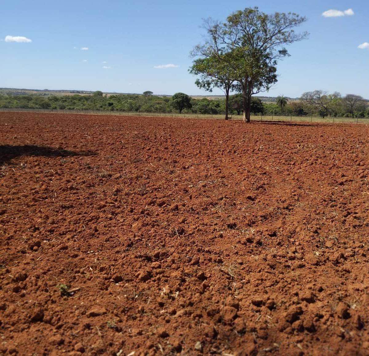 Fazenda, Zona Rural, 4 Quartos, 0 Vaga