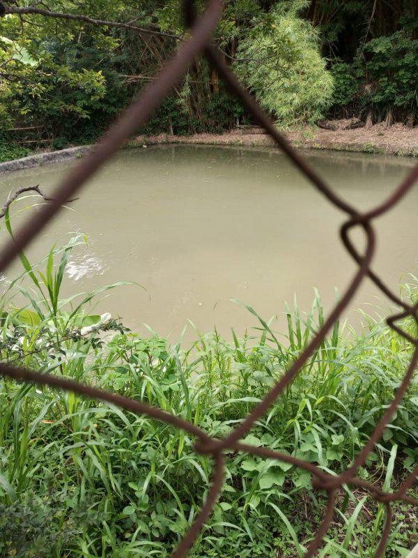 Fazenda, Jardim Rosario, 4 Quartos, 20 Vagas, 1 Suíte