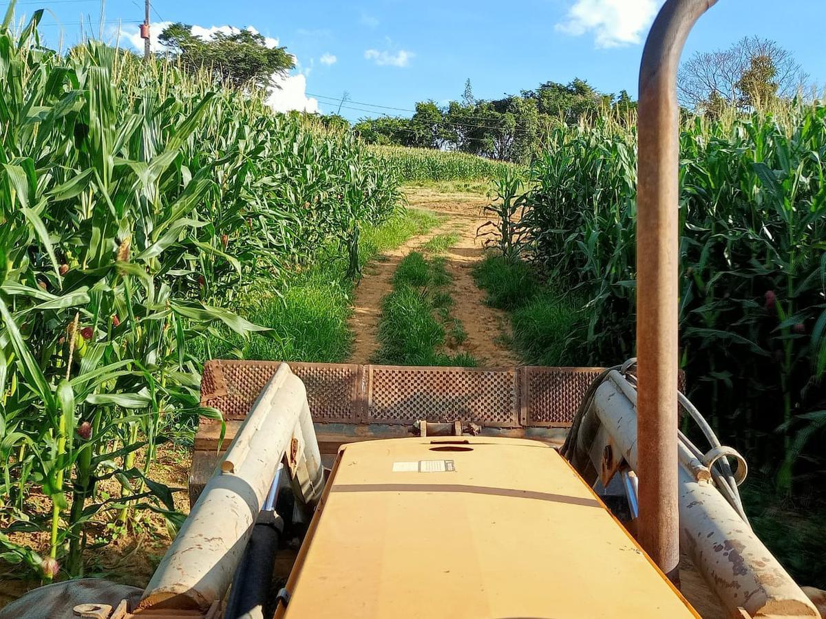 Fazenda, Zona Rural, 0 Quarto, 0 Vaga