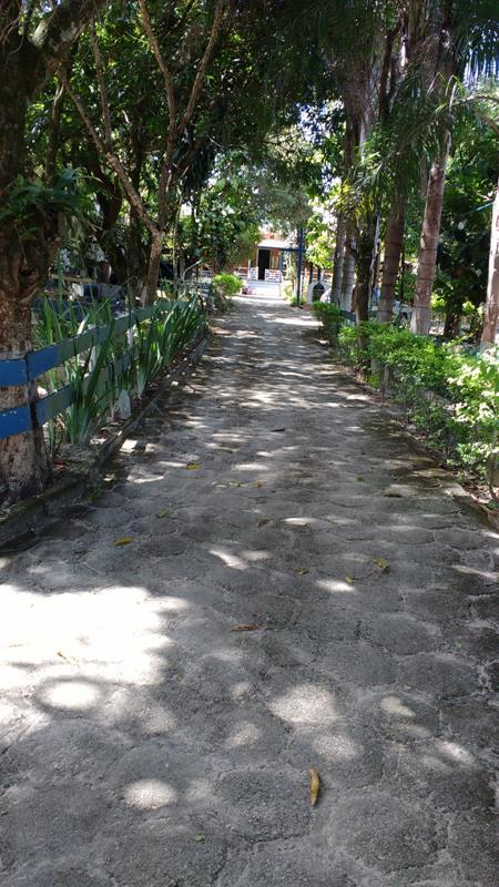 Fazenda, Centro, 3 Quartos, 8 Vagas, 1 Suíte