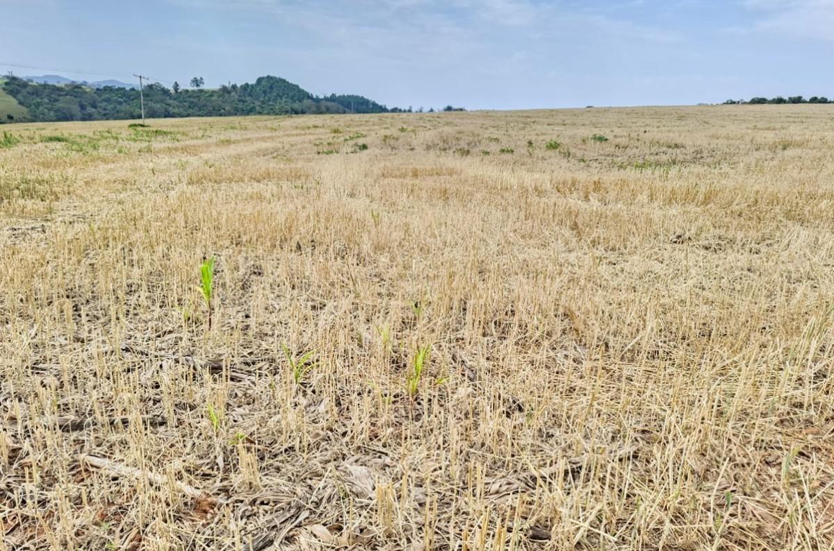 Fazenda, Zona Rural, 0 Quarto, 0 Vaga