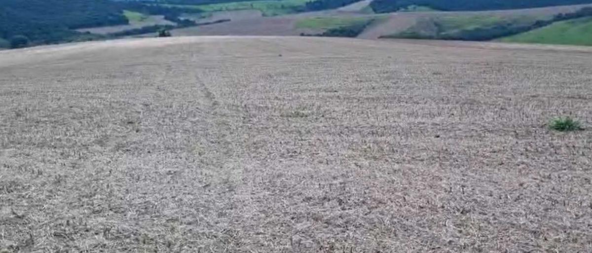 Fazenda, Zona Rural, 3 Quartos, 0 Vaga