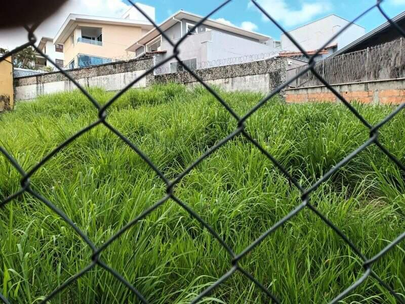 Lote, Belvedere, 0 Quarto, 0 Vaga