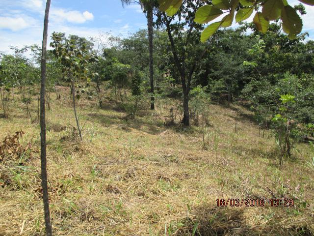 Lote, Centro