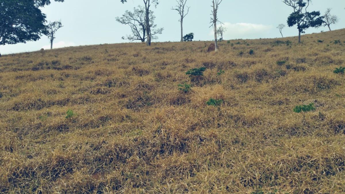 Fazenda, Zona Rural, 0 Quarto, 0 Vaga