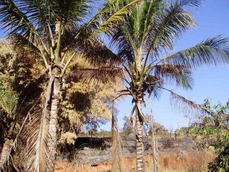 Fazenda, Centro, 4 Quartos, 10 Vagas, 1 Suíte