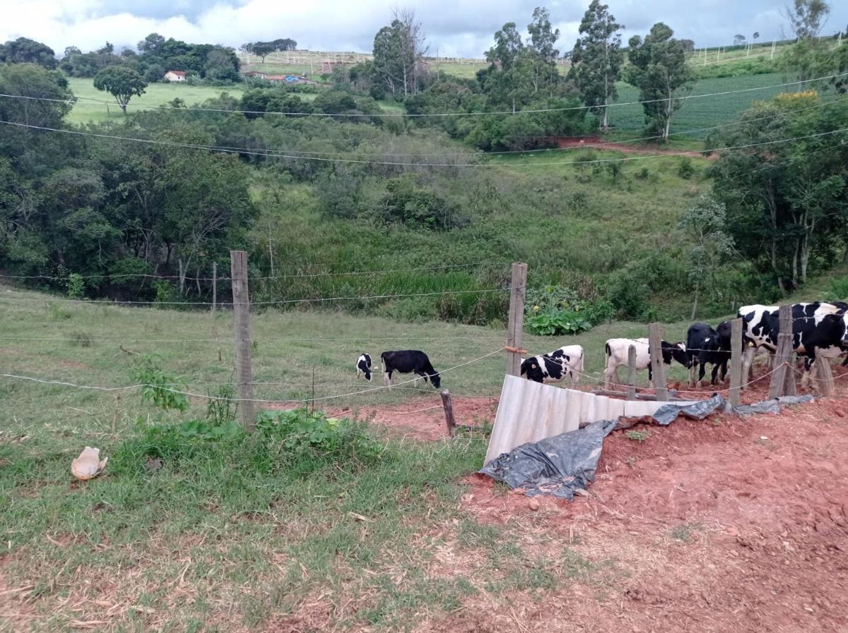 Lote, Zona Rural, 0 Quarto, 0 Vaga