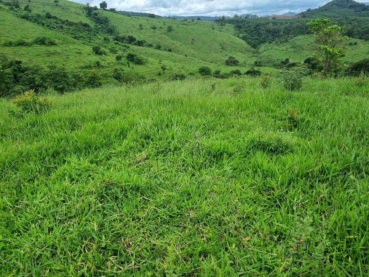 Fazenda, Zona Rural, 2 Quartos, 1 Vaga