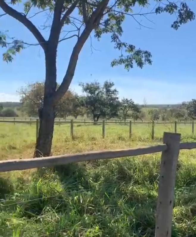 Fazenda, Zona Rural, 0 Quarto, 0 Vaga