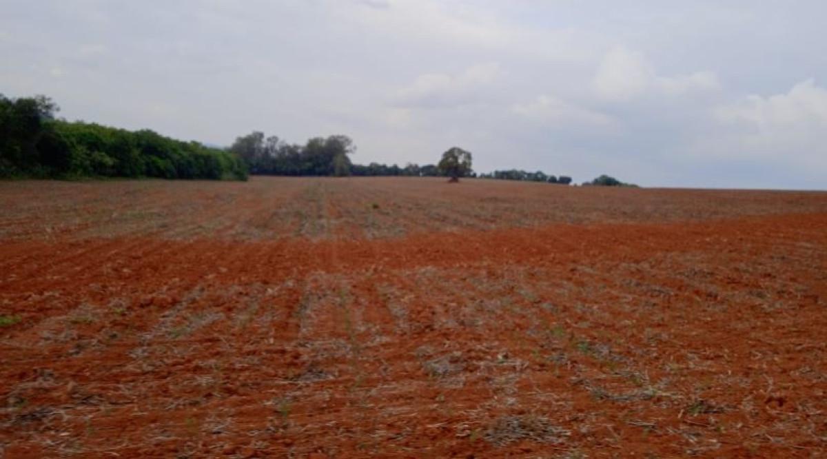 Fazenda, Zona Rural, 0 Quarto, 0 Vaga