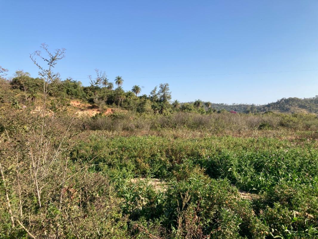 Lote, Santinho, 0 Quarto, 0 Vaga