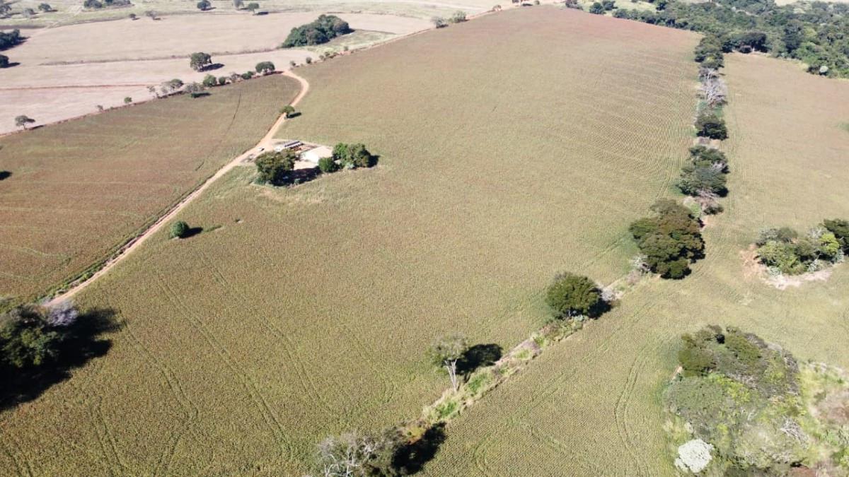 Fazenda, Centro, 0 Quarto, 0 Vaga