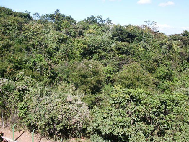 Cobertura, Castelo, 4 Quartos, 2 Vagas, 2 Suítes