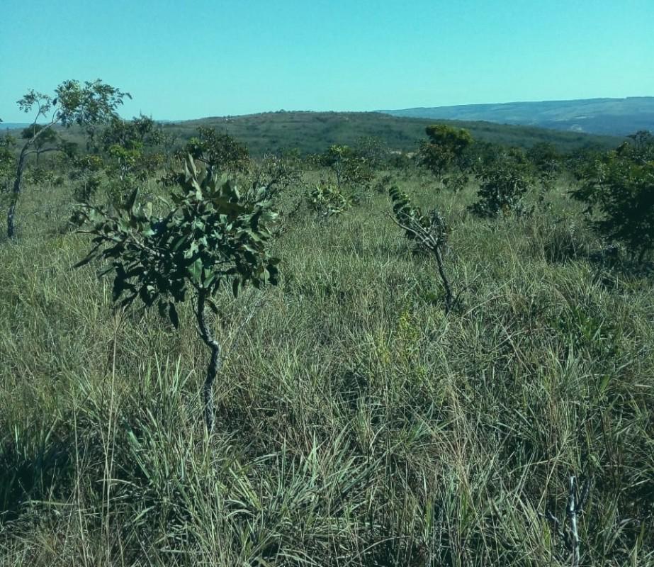 Fazenda, Zona Rural, 0 Quarto, 0 Vaga