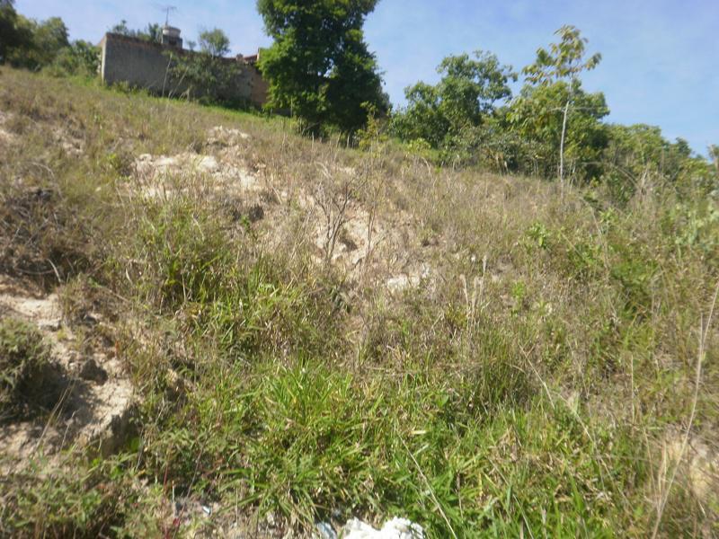 Lote, Recreio dos Bandeirantes, 0 Quarto, 0 Vaga