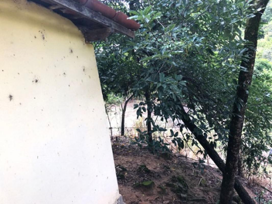 Lote, Borges, 0 Quarto, 20 Vagas
