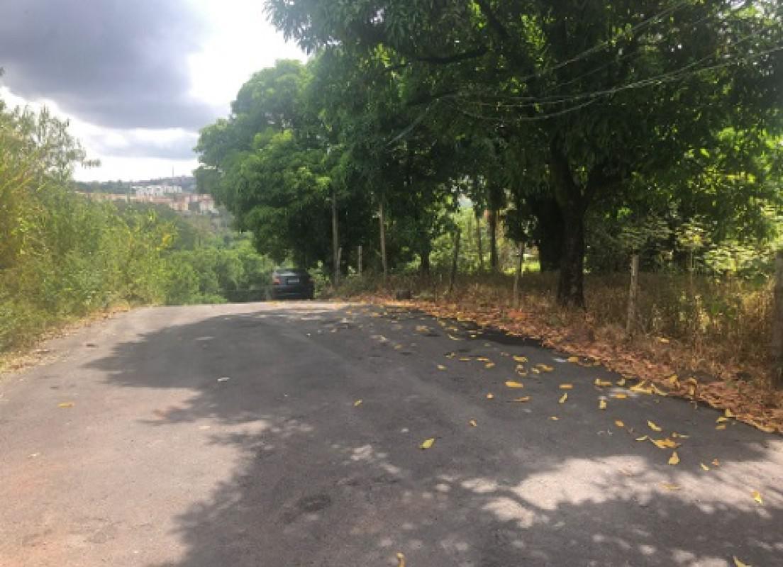 Lote, Borges, 0 Quarto, 20 Vagas