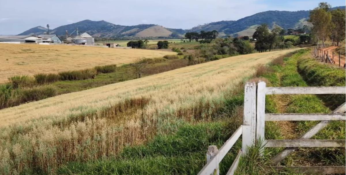 Fazenda, Zona Rural, 3 Quartos, 1 Vaga