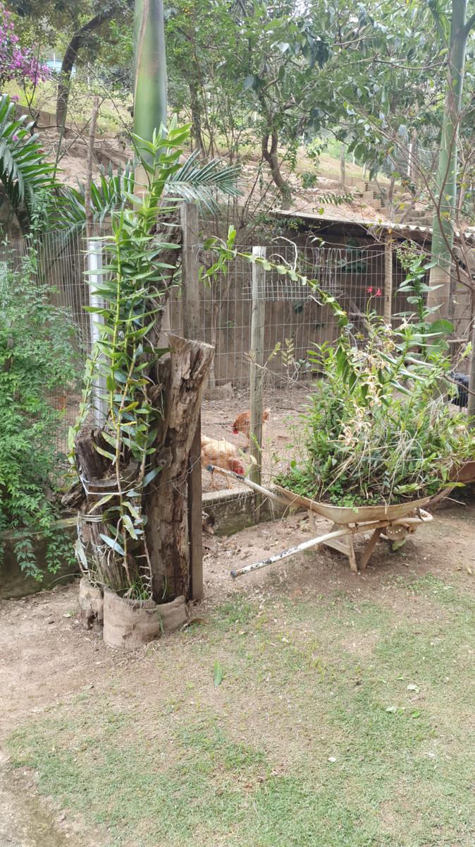 Fazenda, Caracois de Baixo, 4 Quartos, 12 Vagas, 1 Suíte