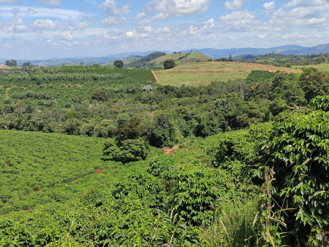 Fazenda, Zona Rural, 0 Quarto, 0 Vaga