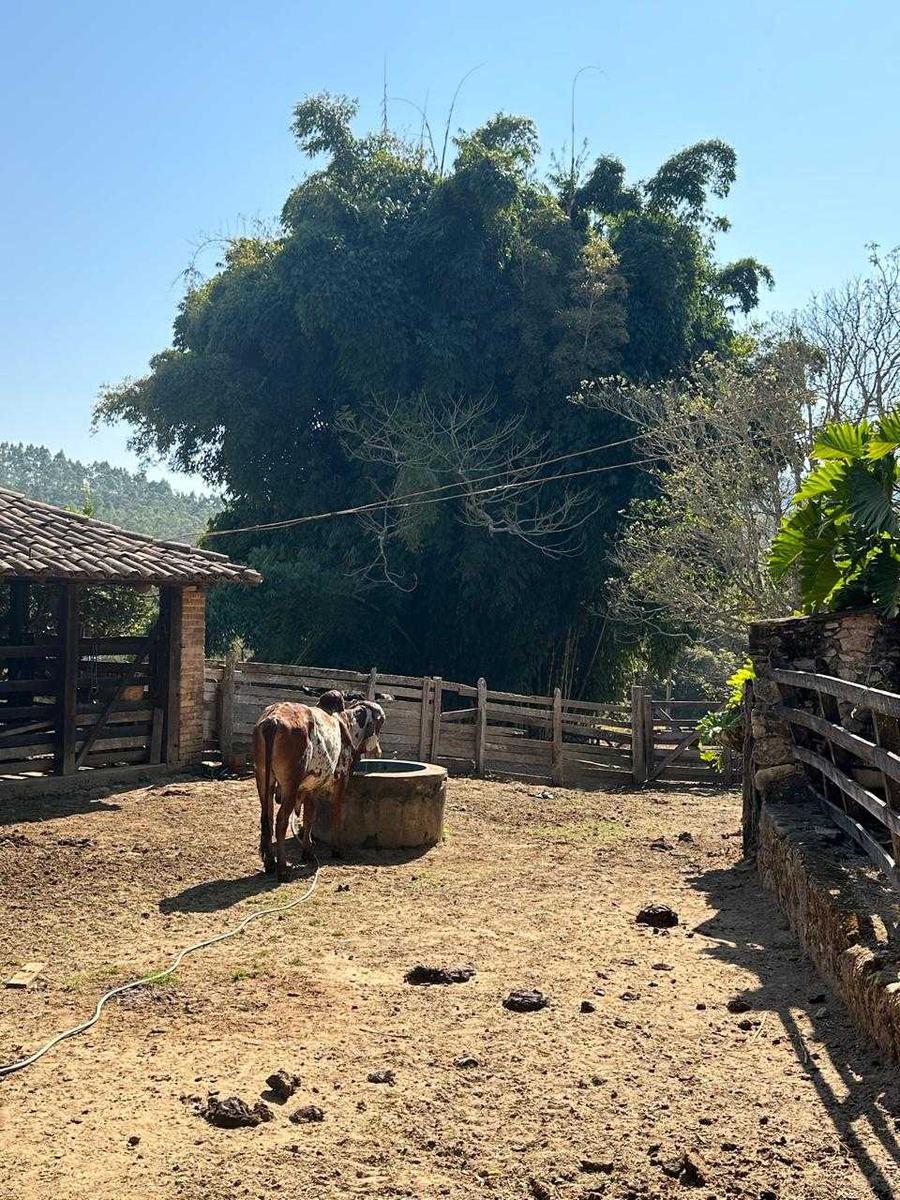 Fazenda, Zona Rural, 7 Quartos, 0 Vaga, 3 Suítes