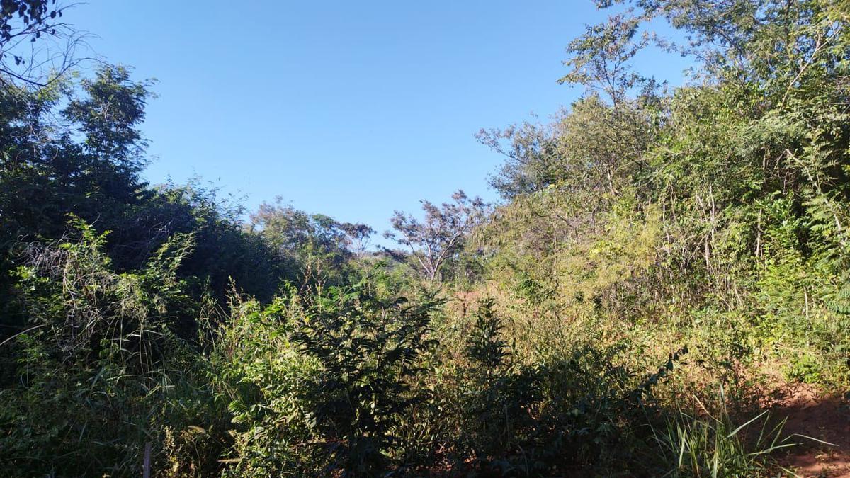 Lote, Ravena, 0 Quarto, 0 Vaga