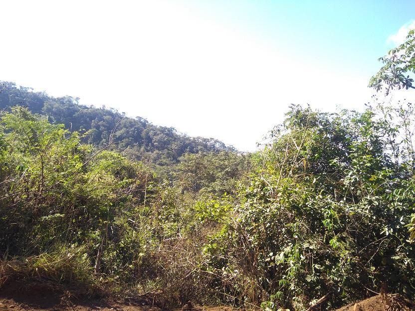 Lote, Vila Esperança, 0 Quarto, 0 Vaga