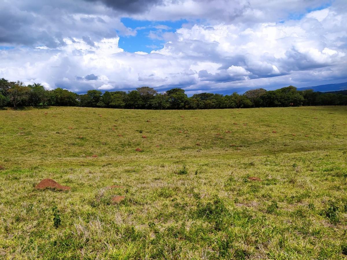 Fazenda, Centro, 1 Quarto, 1 Vaga