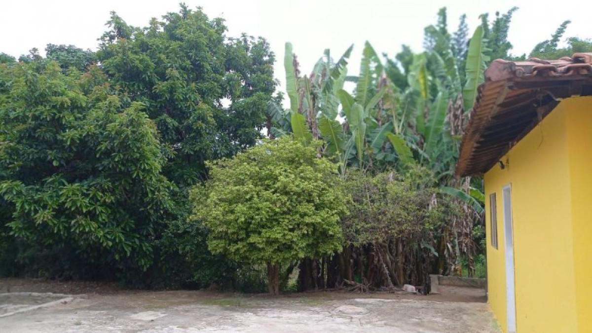 Fazenda, Centro, 6 Quartos, 3 Vagas