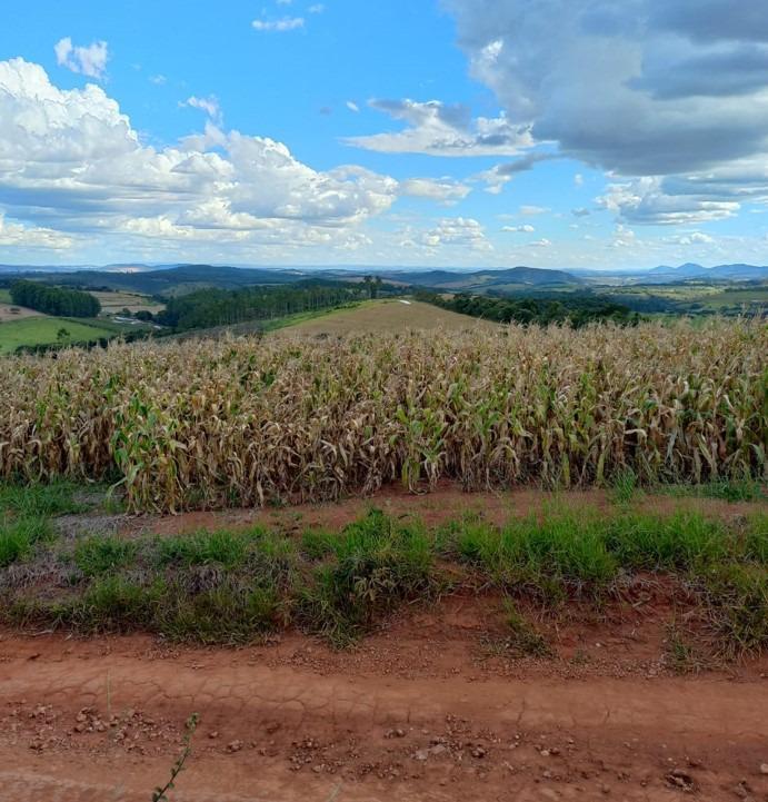 Fazenda, Centro, 3 Quartos, 0 Vaga