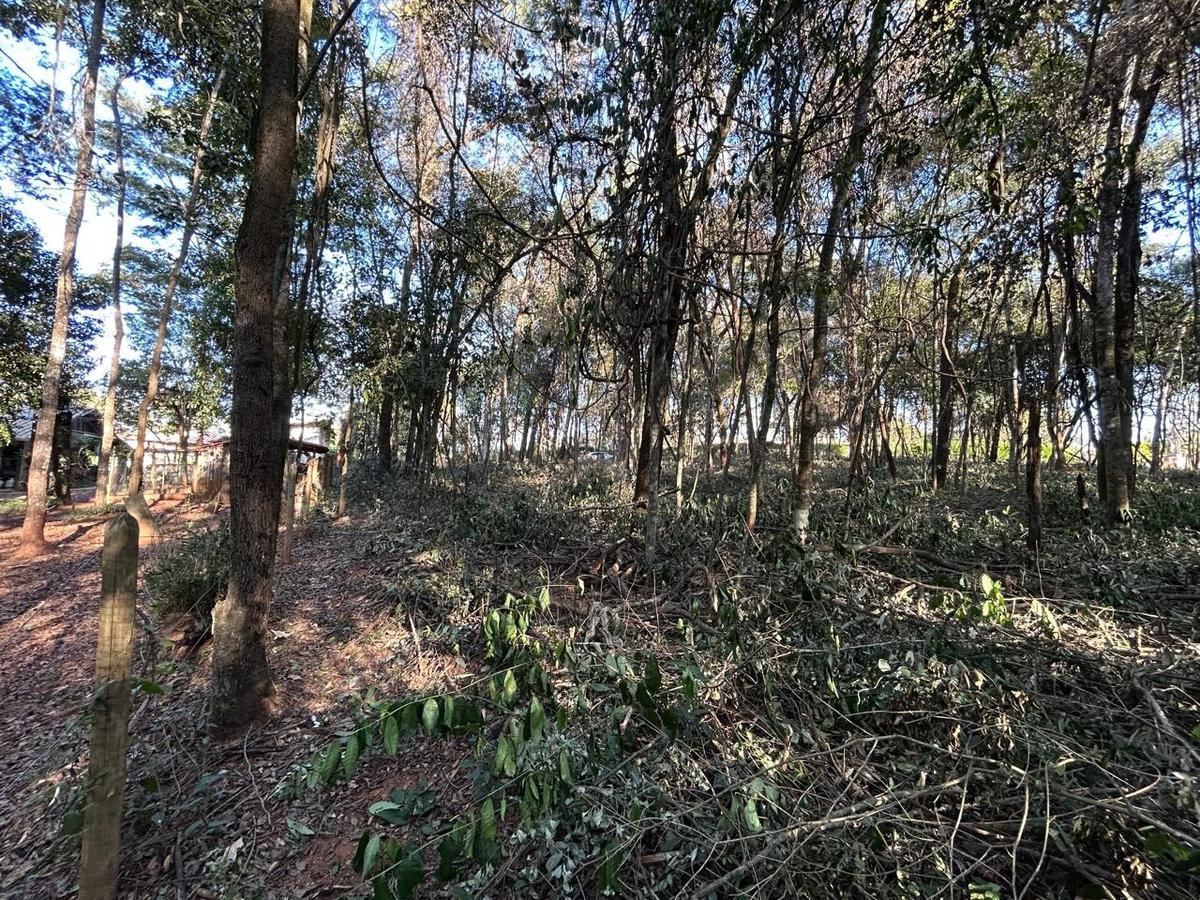 Lote, Centro, 0 Quarto, 0 Vaga