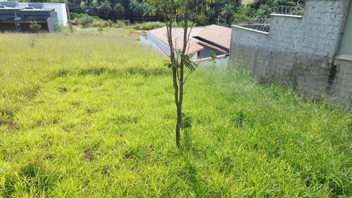 Lote, Ouro Branco, 0 Quarto, 0 Vaga
