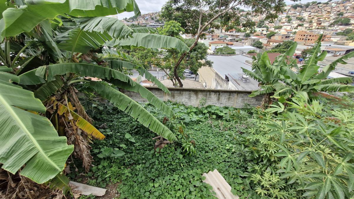 Lote, Glória, 0 Quarto, 0 Vaga